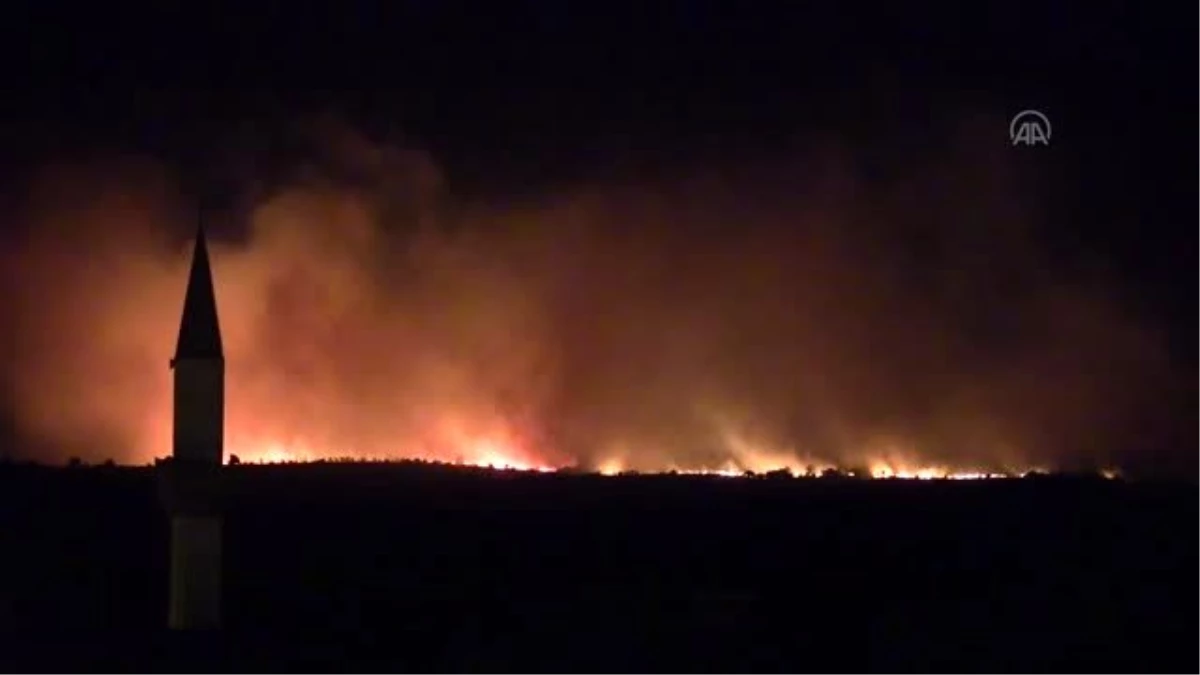 Bulgaristan\'daki orman yangını