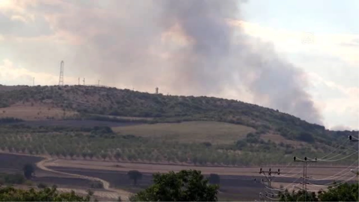 Bulgaristan\'daki yangının Türkiye\'ye sıçramaması için önlemler artırılıyor (2)