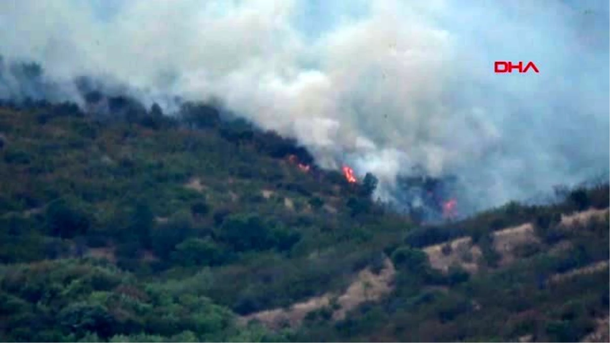 EDİRNE Bulgaristan sınırındaki orman yangını sürüyor