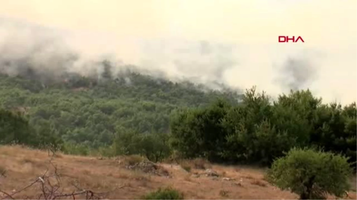 Elazığ\'da orman yangını kontrol altına alındı