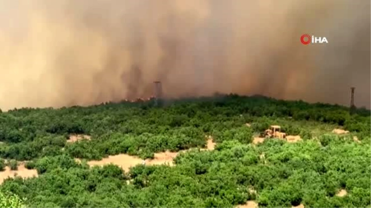 Elazığ\'daki orman yangını kontrol altına alınmaya çalışılıyor