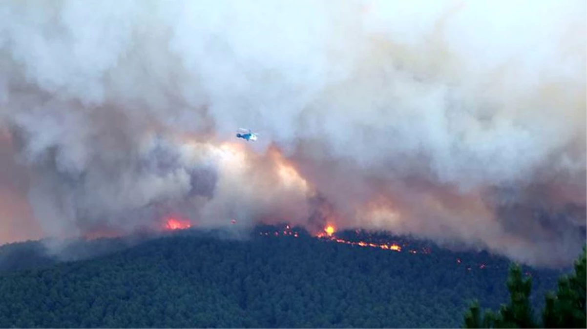 Kütahya\'daki orman yangınları, yıldırım düşmesinden kaynaklandı