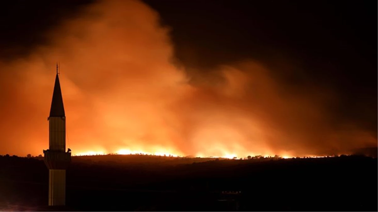 Bulgaristan\'daki orman yangınının 3. günüde alevler Türkiye\'ye doğru ilerliyor