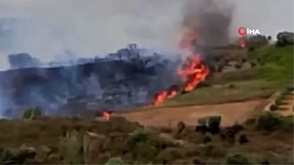 Son dakika haber | Tekirdağ\'da korkutan yangın... 100 dönüm zeytinlik alan alev alev yandı