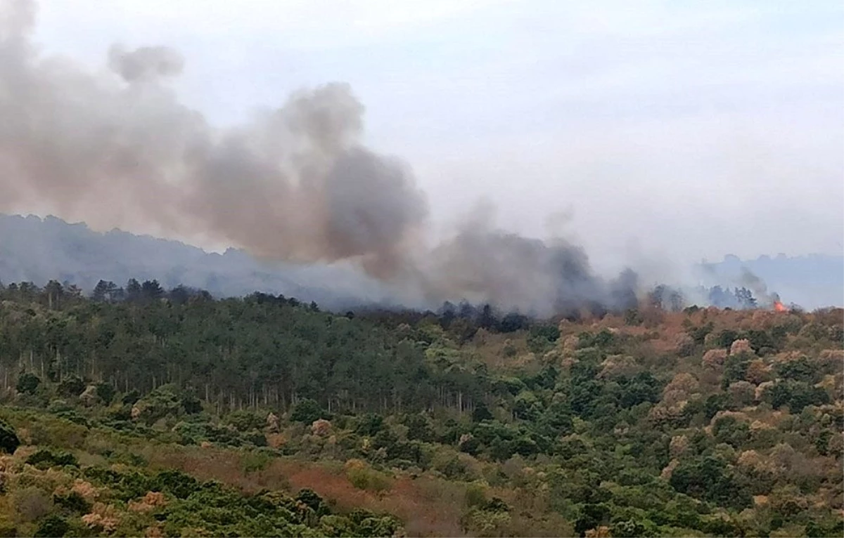 Yangın 15 kilometre uzunluğunda alanda etkili oluyor, helikopter müdahalesi başladı