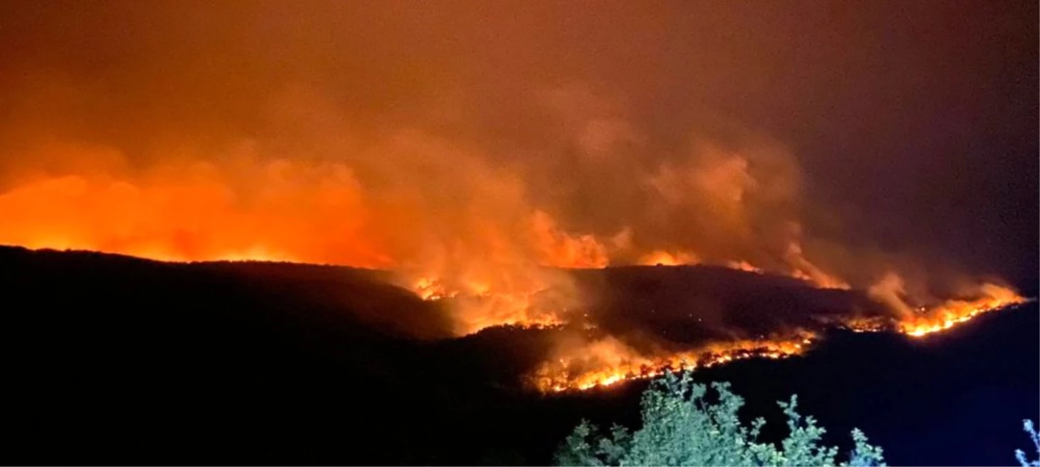 Bulgaristan\'daki orman yangını Türkiye sınırına ulaştı