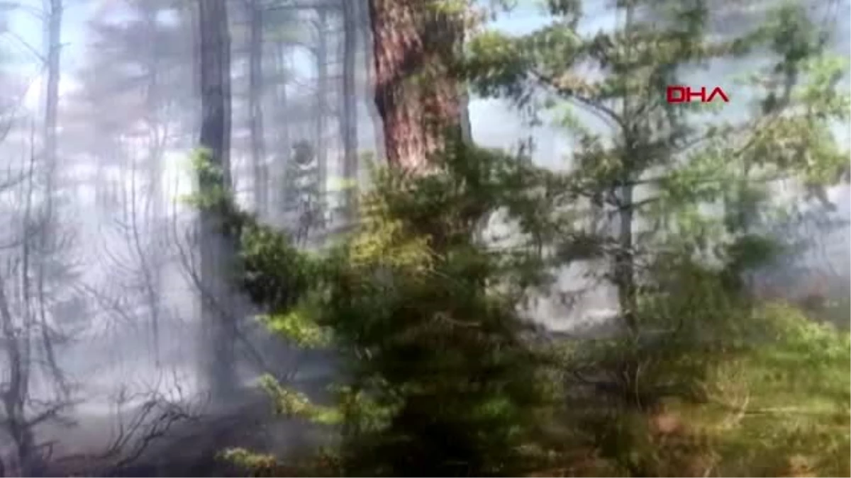Bursa\'daki orman yangınında 5 dönüm alan zarar gördü