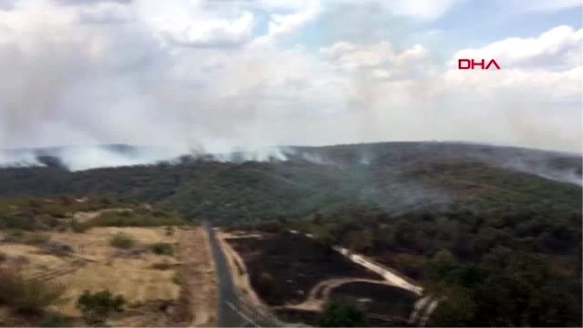Edirne Bulgaristan sınırındaki orman yangını sürüyor