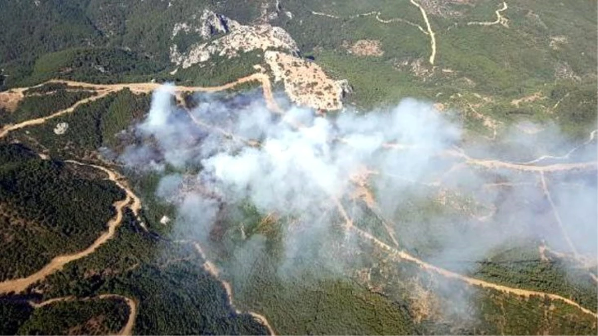 İzmir\'de orman yangını çıktı! Yangına havadan ve karadan müdahale ediliyor