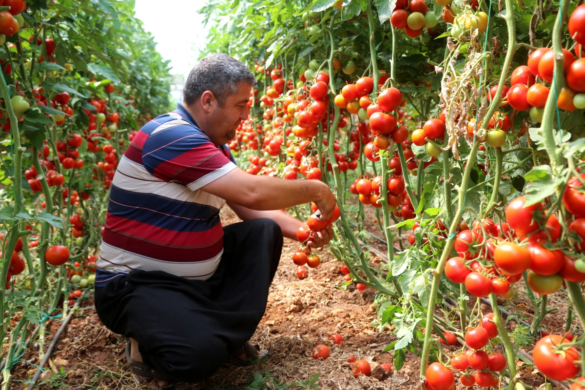 Mersin\'in Erdemli Belediyesinden örnek proje