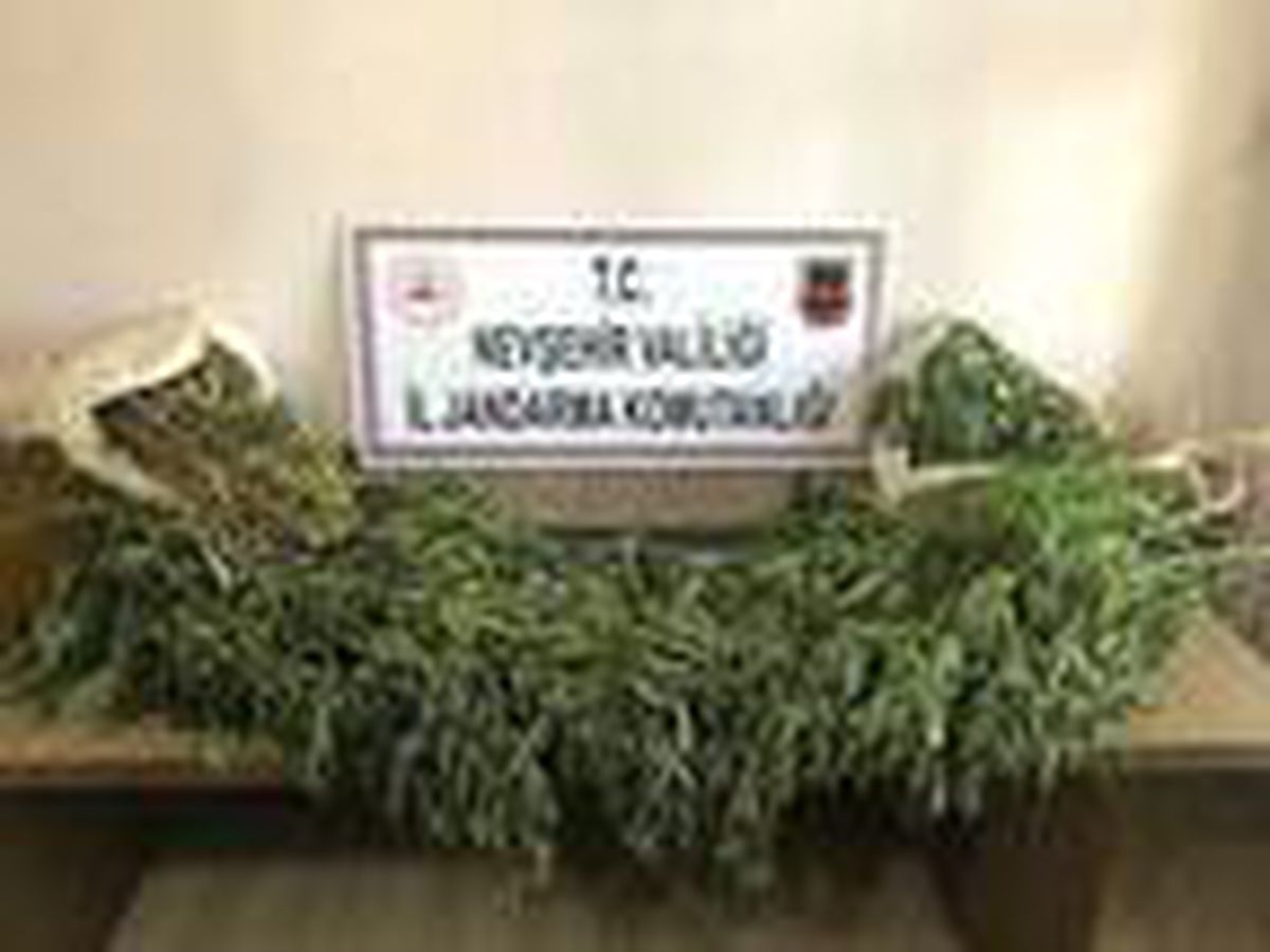 Son dakika haber! Nevşehir\'de 2 kilo esrar ele geçirildi