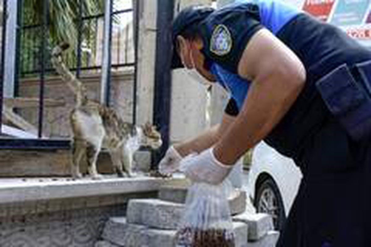Polis \'can dostları\' yalnız bırakmadı