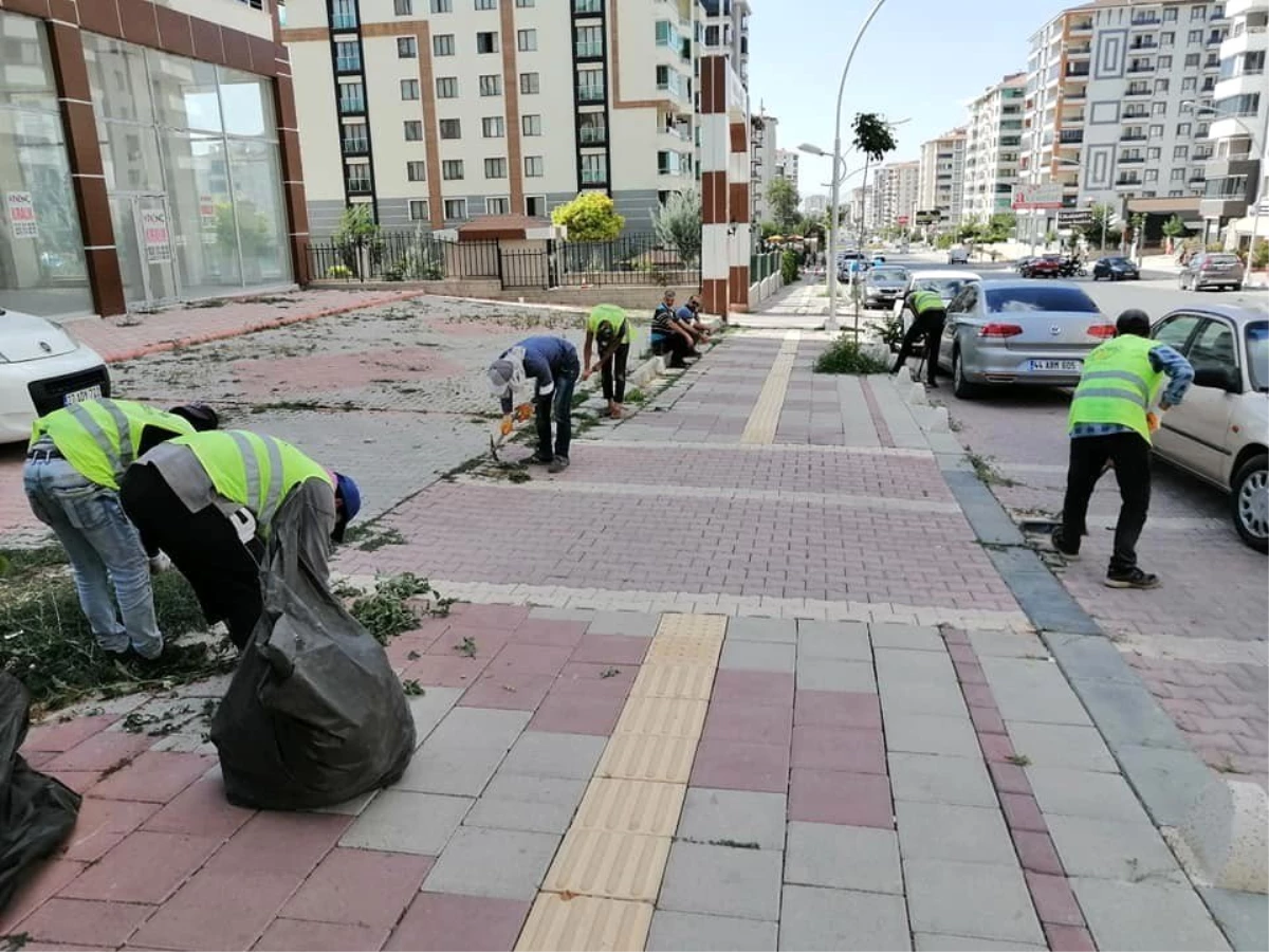 Büyükşehir\'den yabani ot temizliği