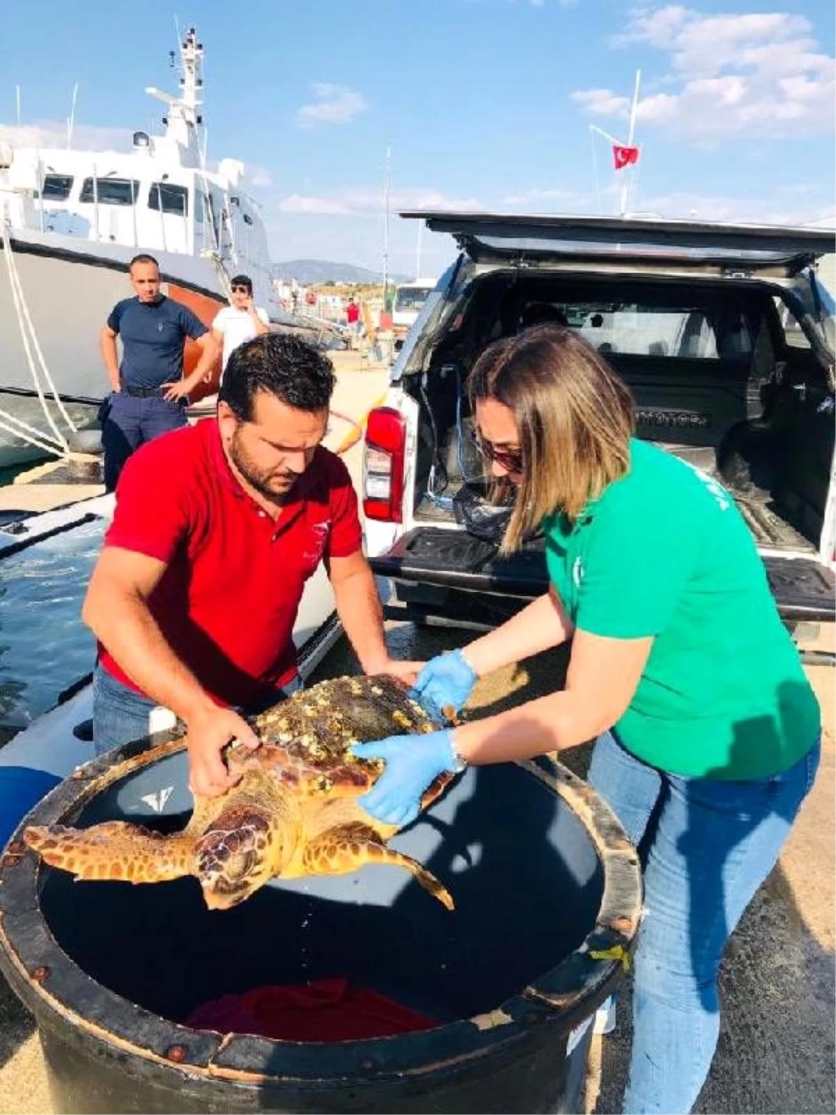 Denizde yaralı halde bulunan caretta caretta tedaviye alındı