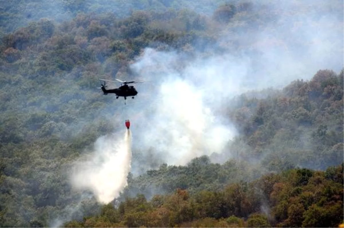 Son Dakika: Edirne Valiliği: Bulgaristan sınırındaki yangında tek bir ağacımız yanmadı