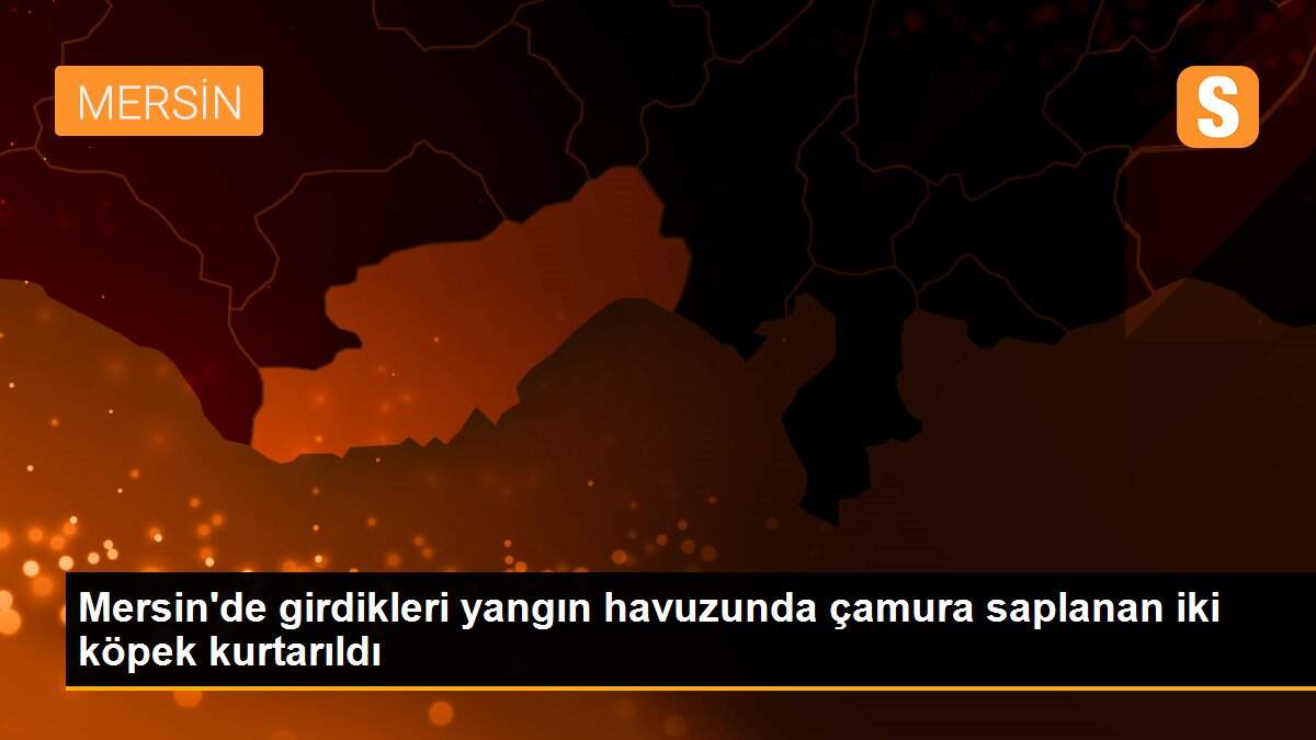Son dakika... Mersin\'de girdikleri yangın havuzunda çamura saplanan iki köpek kurtarıldı