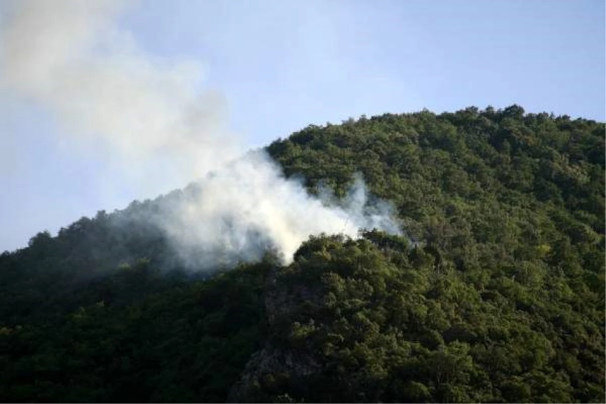 Son dakika haberi: Ormana sıçrayan yangın havadan müdahale ile söndürüldü