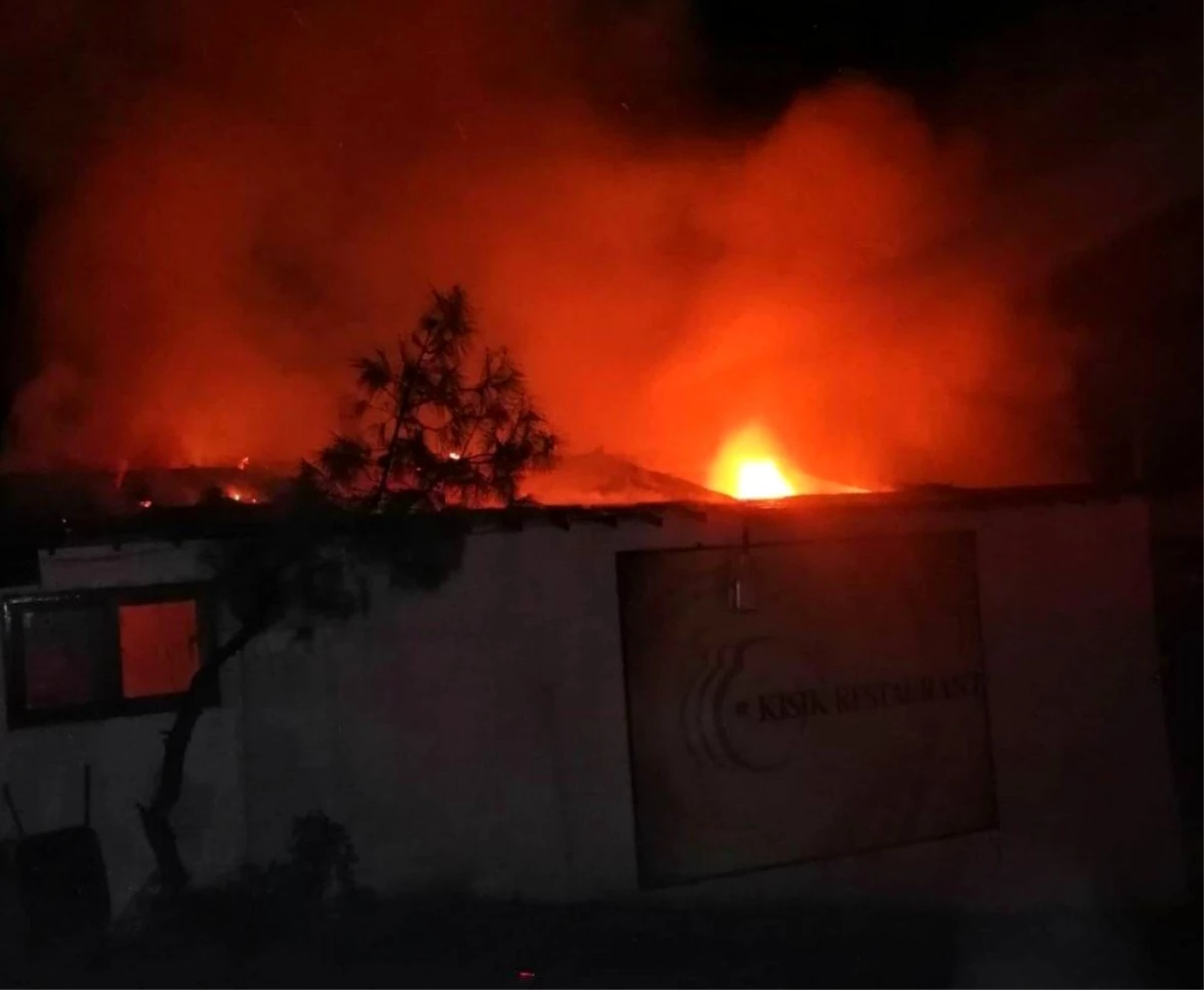 Son Dakika: Restoranda çıkan yangın ormanlık alan sıçramadan söndürüldü