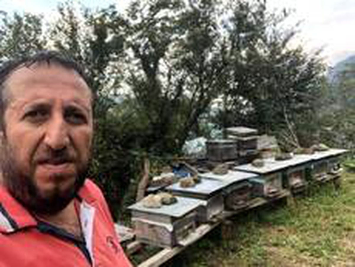 Son dakika haberi... Trabzonlu bal üreticisi arı sokması sonucu hayatını kaybetti
