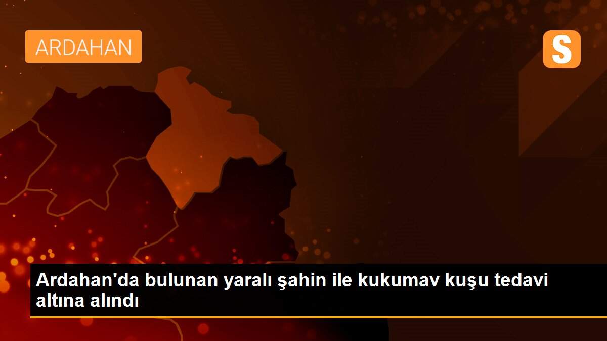 Ardahan\'da bulunan yaralı şahin ile kukumav kuşu tedavi altına alındı
