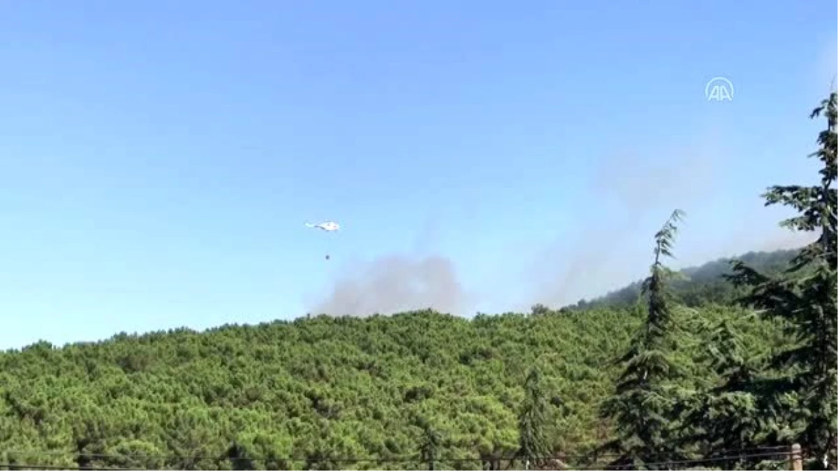 Son dakika haber | Aydos Ormanı\'nda yangın