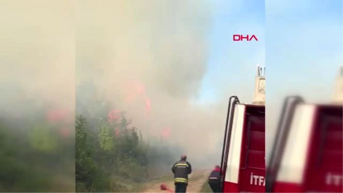 Düzce\'de 4 hektar ormanlık alan yandı