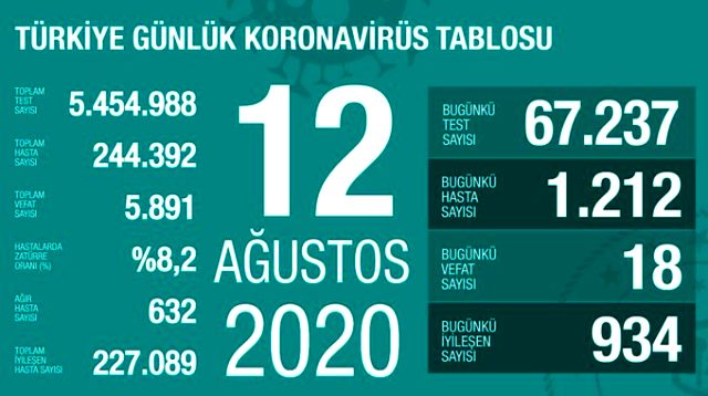 Son Dakika: Türkiye'de 12 Ağustos günü koronavirüs kaynaklı 18 can kaybı, 1212 yeni vaka tespit edildi