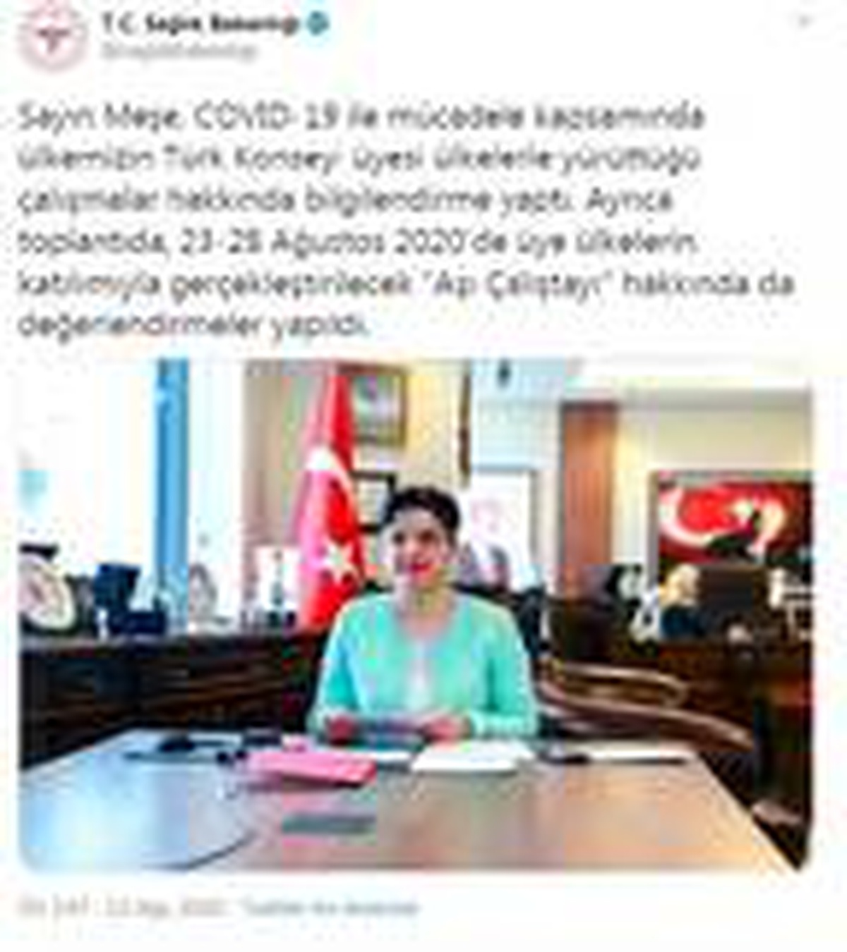 Son dakika haberleri: Türk Konseyi Sağlık Bilim Kurulu 2\'nci kez toplandı