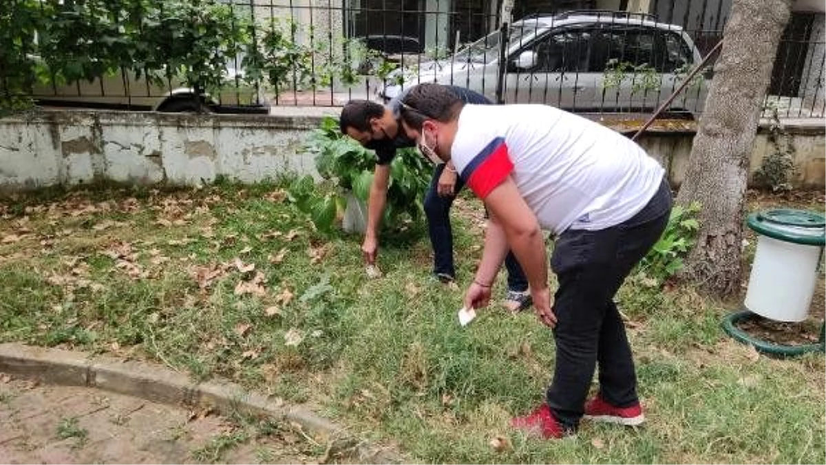 İki genç, yolda yürürken yeşil alanda 20 bin TL değerinde döviz buldu