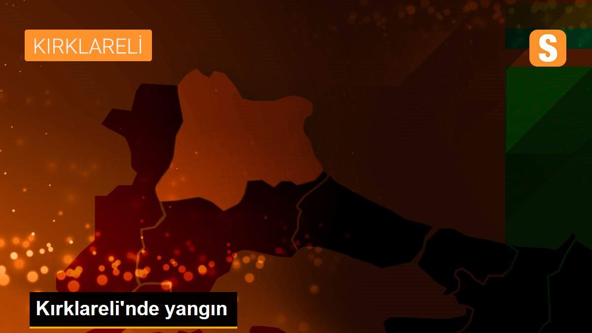 Son dakika haber! Kırklareli\'nde yangın