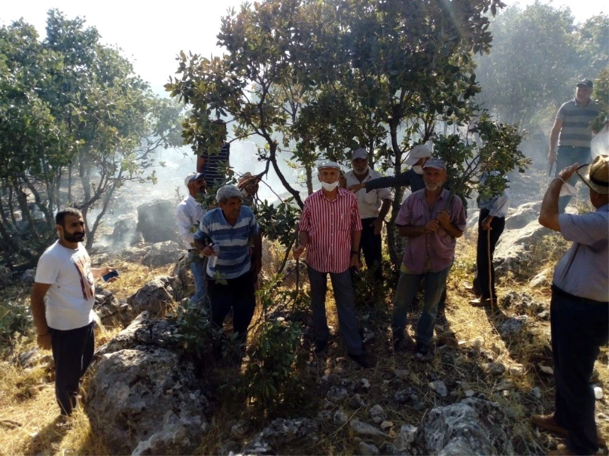 Son Dakika: Kulp\'ta orman yangını vatandaş, itfaiye ve güvenlik kuvvetleri tarafından söndürdü