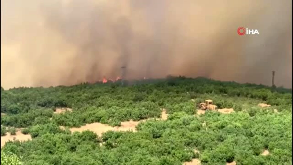 Doğu Anadolu Bölgesi\'nde 246 hektar alan yandı