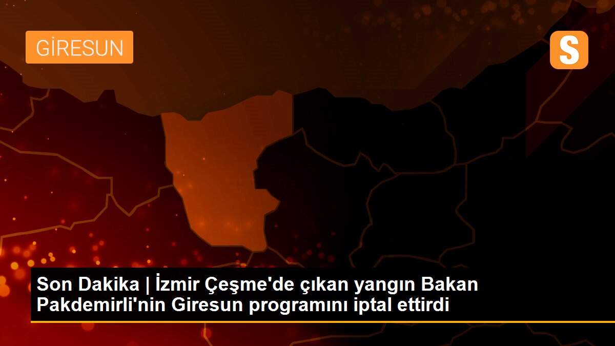 Son Dakika | İzmir Çeşme\'de çıkan yangın Bakan Pakdemirli\'nin Giresun programını iptal ettirdi