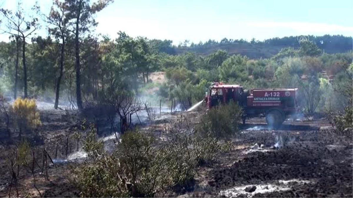 Son dakika! Manavgat\'ta çıkan orman yangını söndürüldü