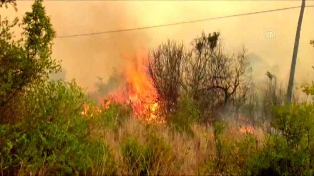 Son dakika haberleri! Orman yangınına havadan ve karadan müdahale ediliyor