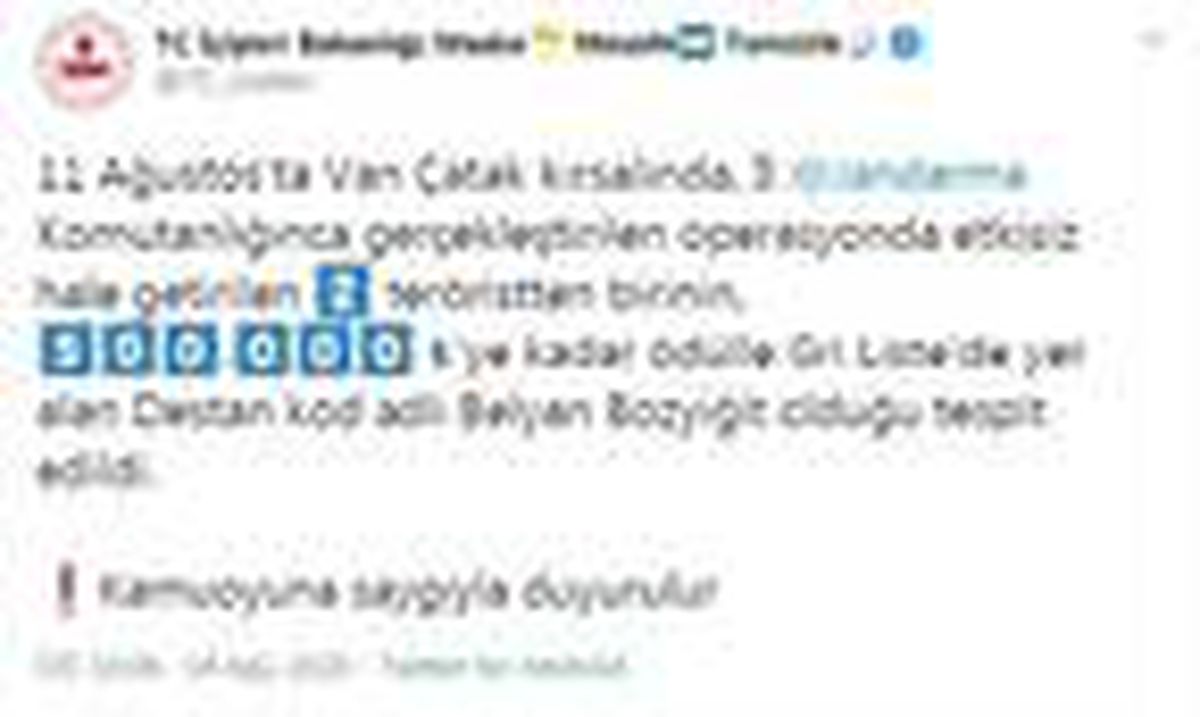 Son dakika haber | Van\'da etkisiz hale getirilen 2 teröristten 1\'i Gri Liste\'den çıktı