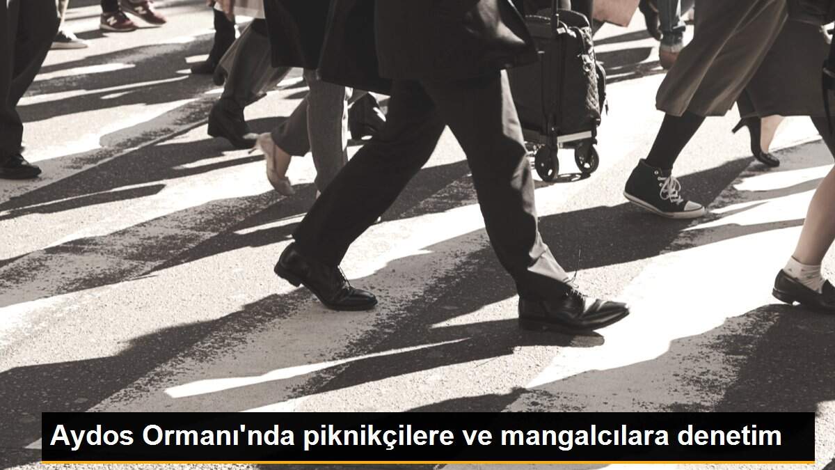 Son dakika haberleri | Aydos Ormanı\'nda piknikçilere ve mangalcılara denetim