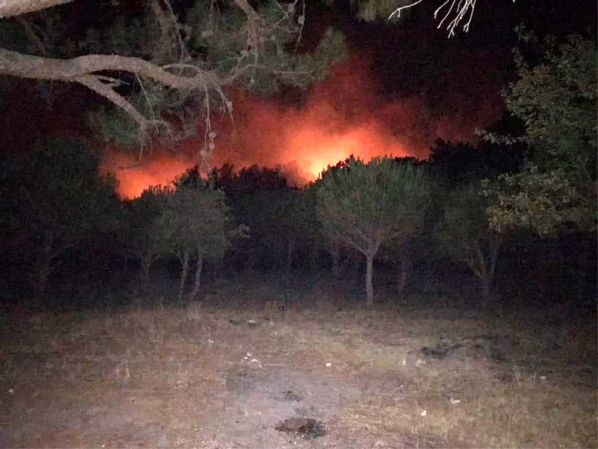 Son dakika haberi... Kazdağları\'ndaki yangını büyümeden söndürüldü