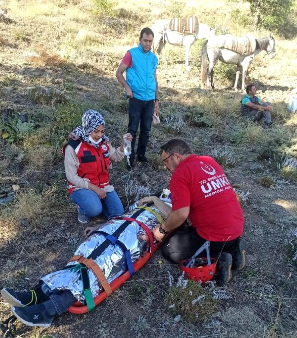 Mera tespitine giden veteriner, attan düşüp yaralandı
