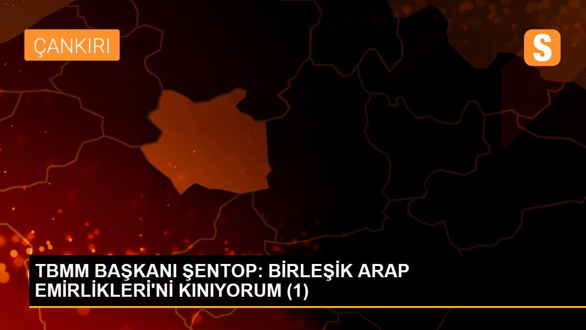 TBMM BAŞKANI ŞENTOP: BİRLEŞİK ARAP EMİRLİKLERİ\'Nİ KINIYORUM (1)