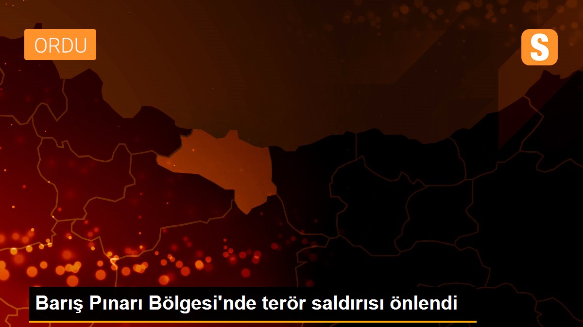 Son dakika haberi: Barış Pınarı Bölgesi\'nde terör saldırısı önlendi