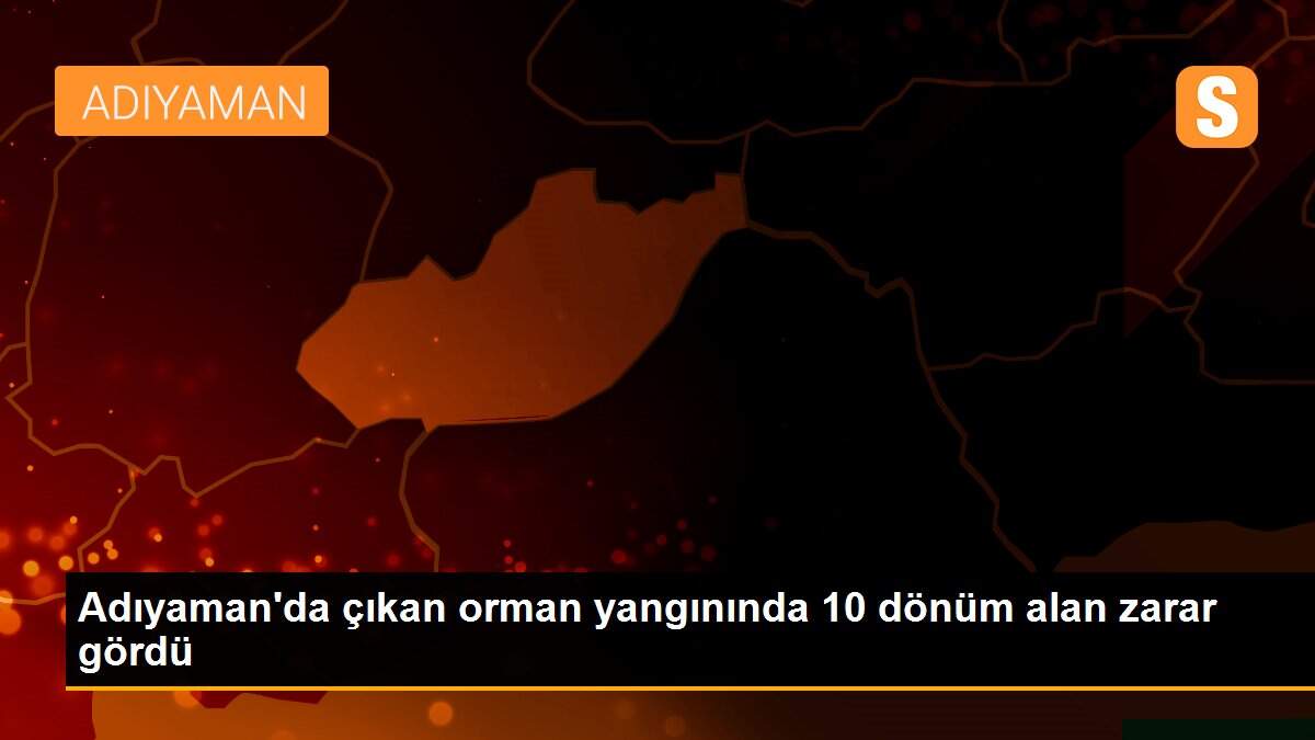 Son dakika haberi... Adıyaman\'da çıkan orman yangınında 10 dönüm alan zarar gördü