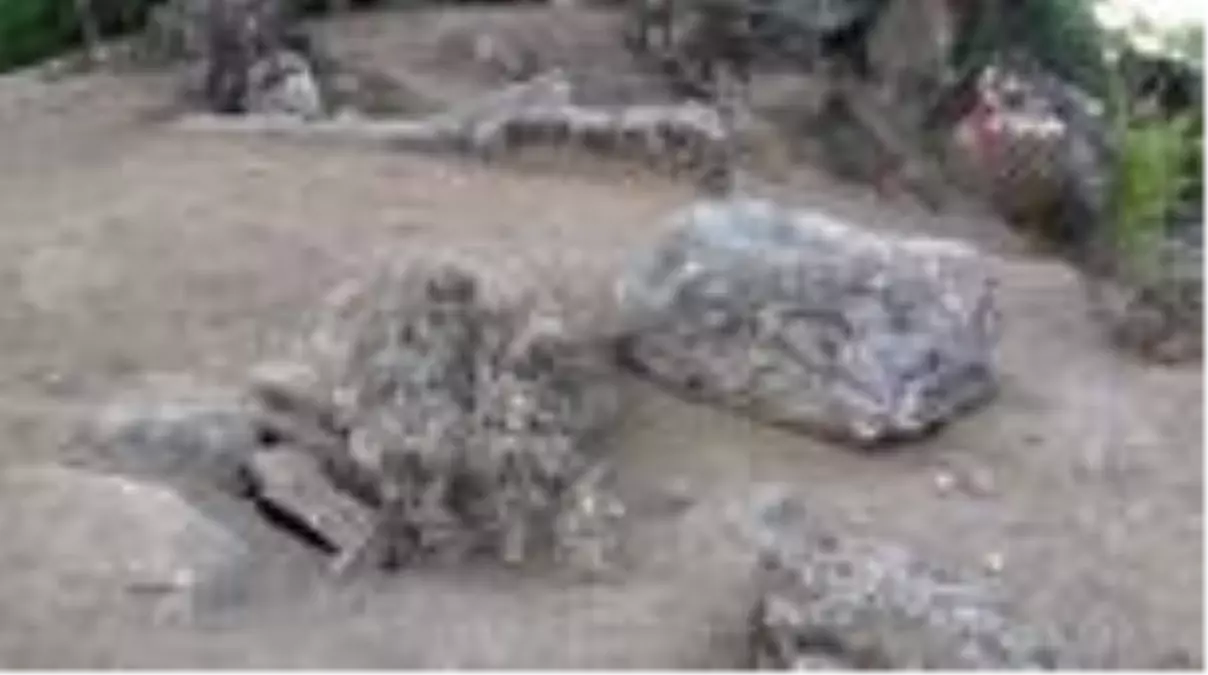 Aydın\'da bilim dünyasını heyecanlandıran keşif: Alinda\'da ilk kez yazıtlı mezar odası bulundu