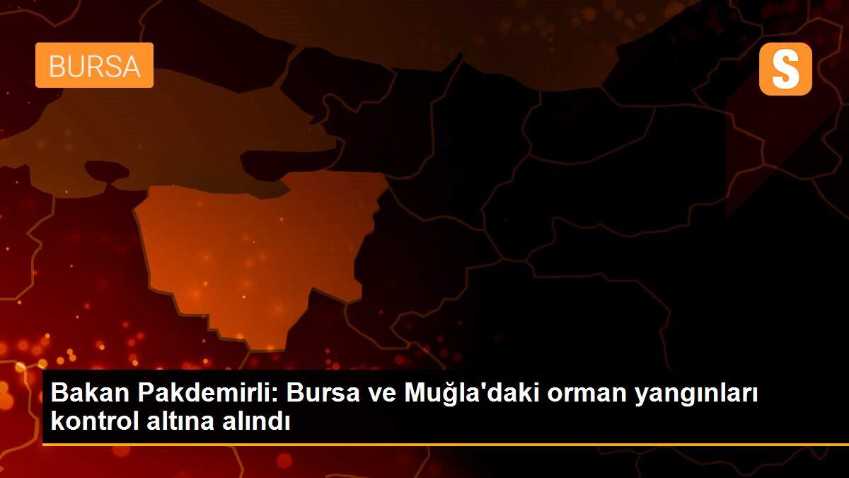 Son dakika haber... Bakan Pakdemirli: Bursa ve Muğla\'daki orman yangınları kontrol altına alındı