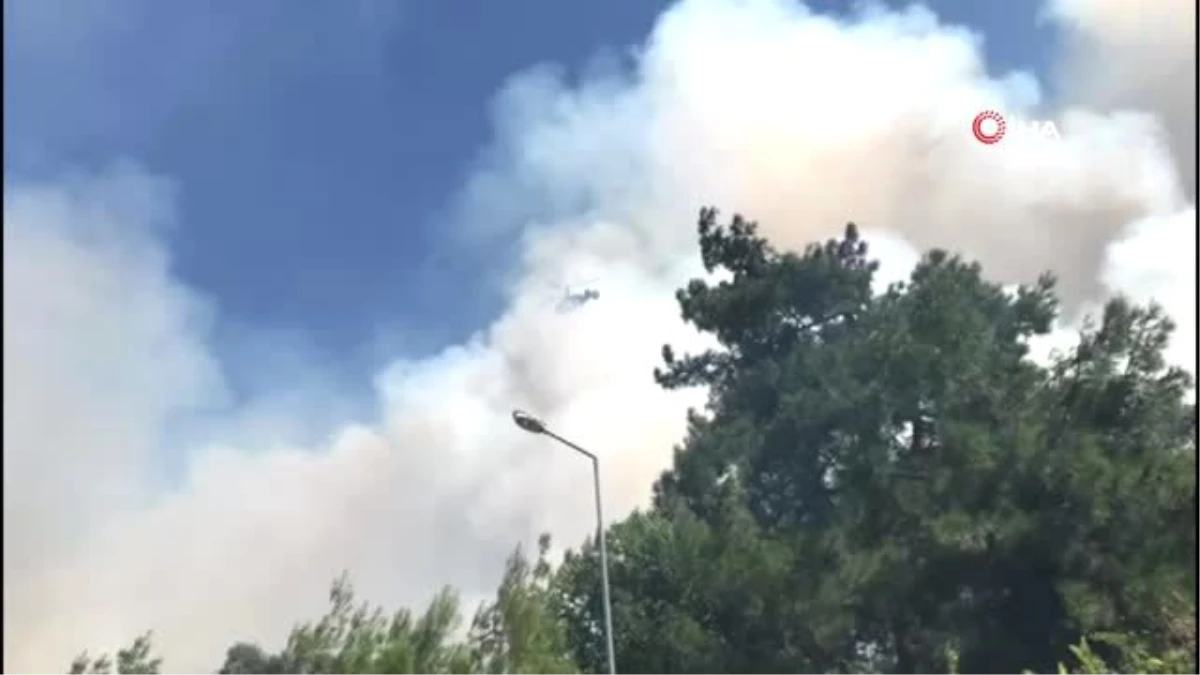 Son dakika haberi: Bursa\'da orman yangını...Alevler villalara yaklaşıyor