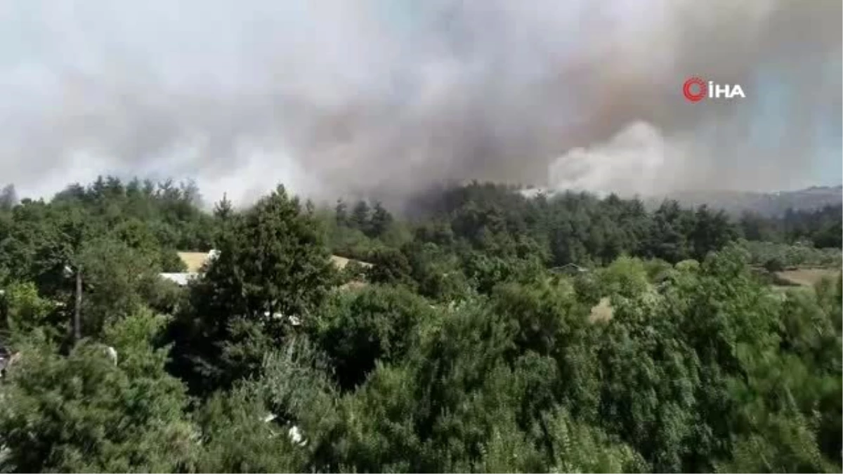 Son dakika haberleri | Bursa\'da orman yangını...Alevler villalara yaklaşıyor