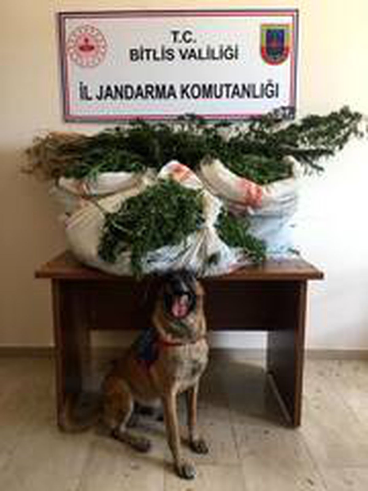 Son dakika haberleri... Mutki\'de 41 kilo 316 gram kubar esrar ele geçirildi