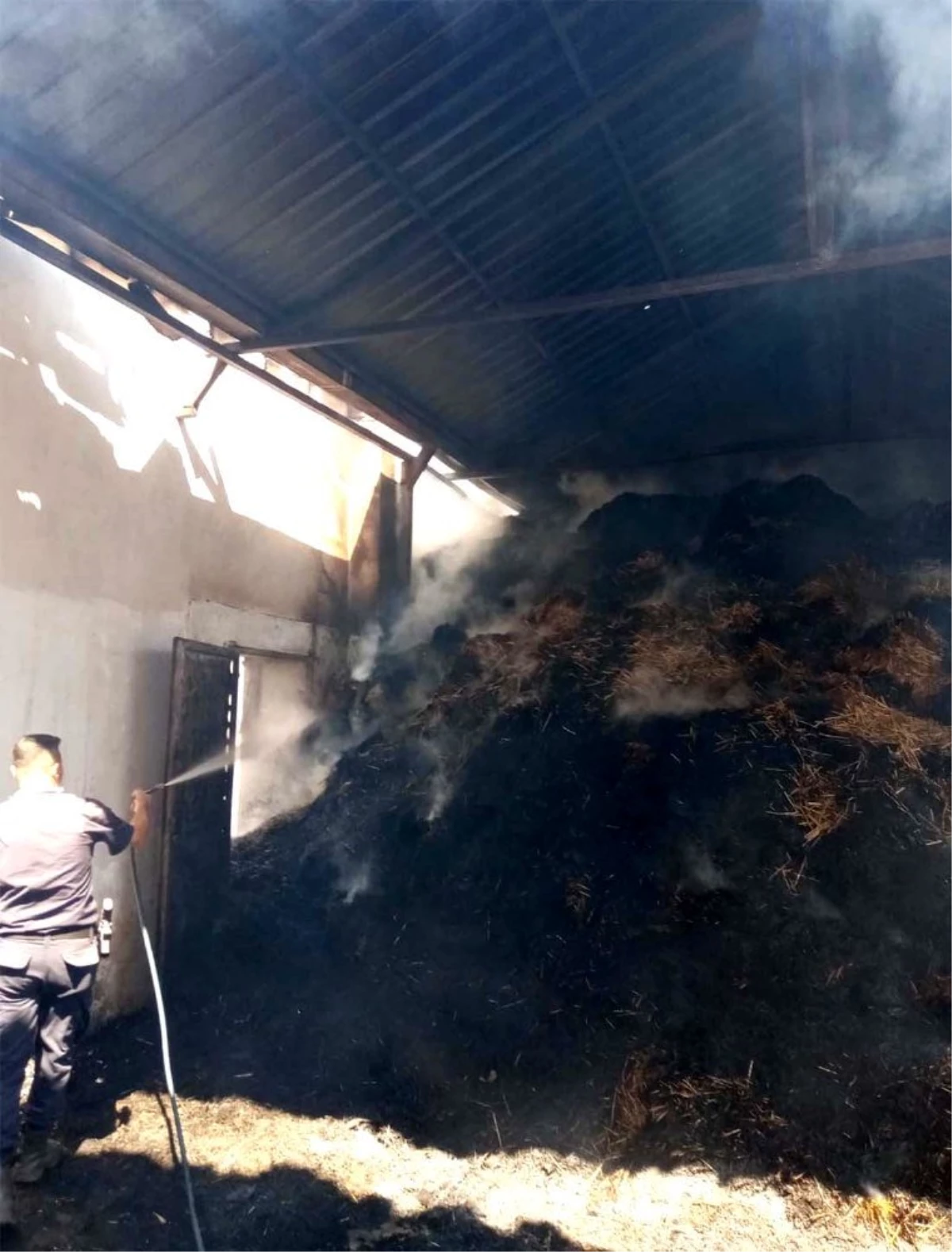 Son dakika haber | Paşaliman Adasında yangında 3 ve 1 samanlık yandı