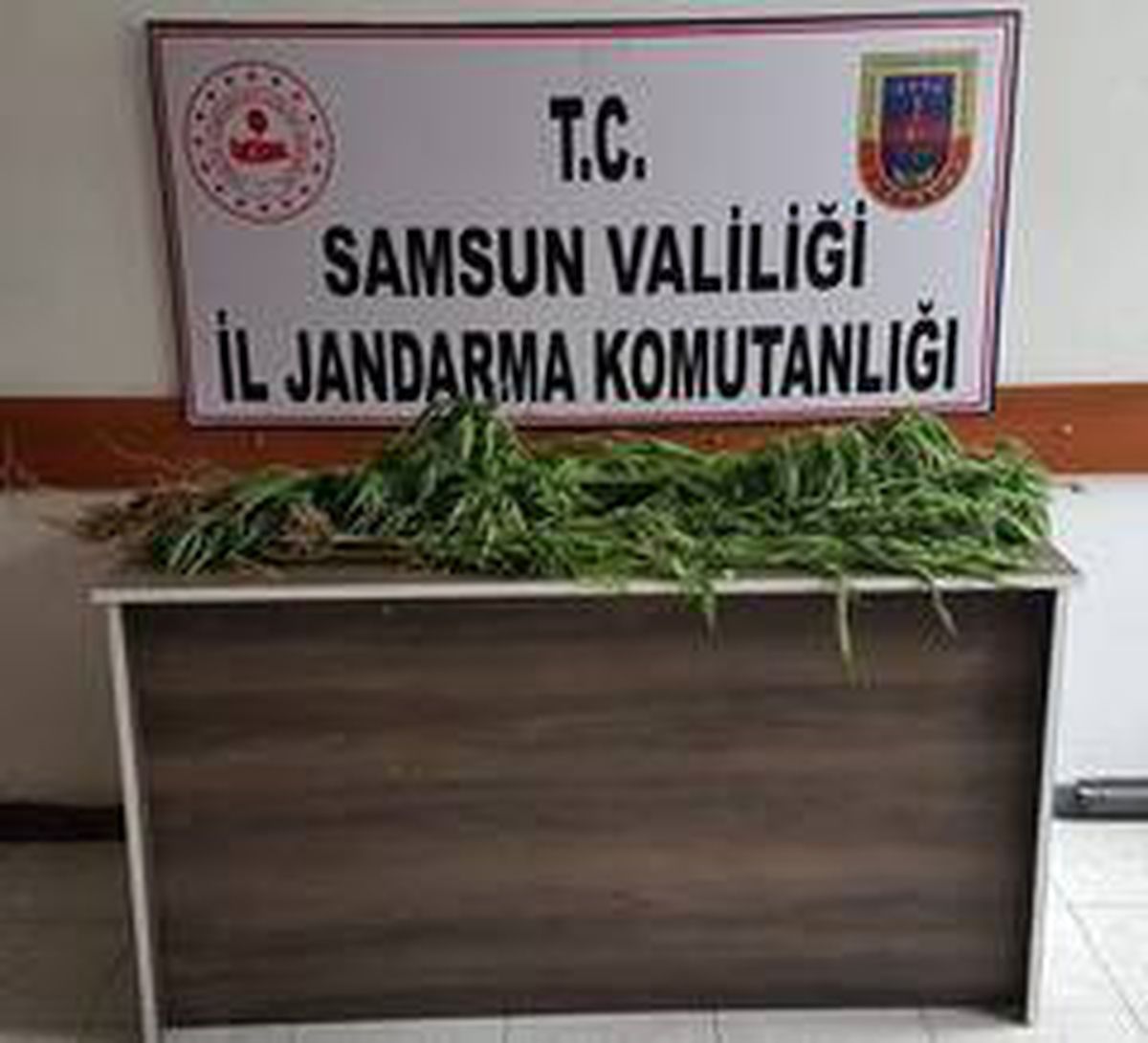 Son dakika haberi... Terme\'de jandarmadan operasyon