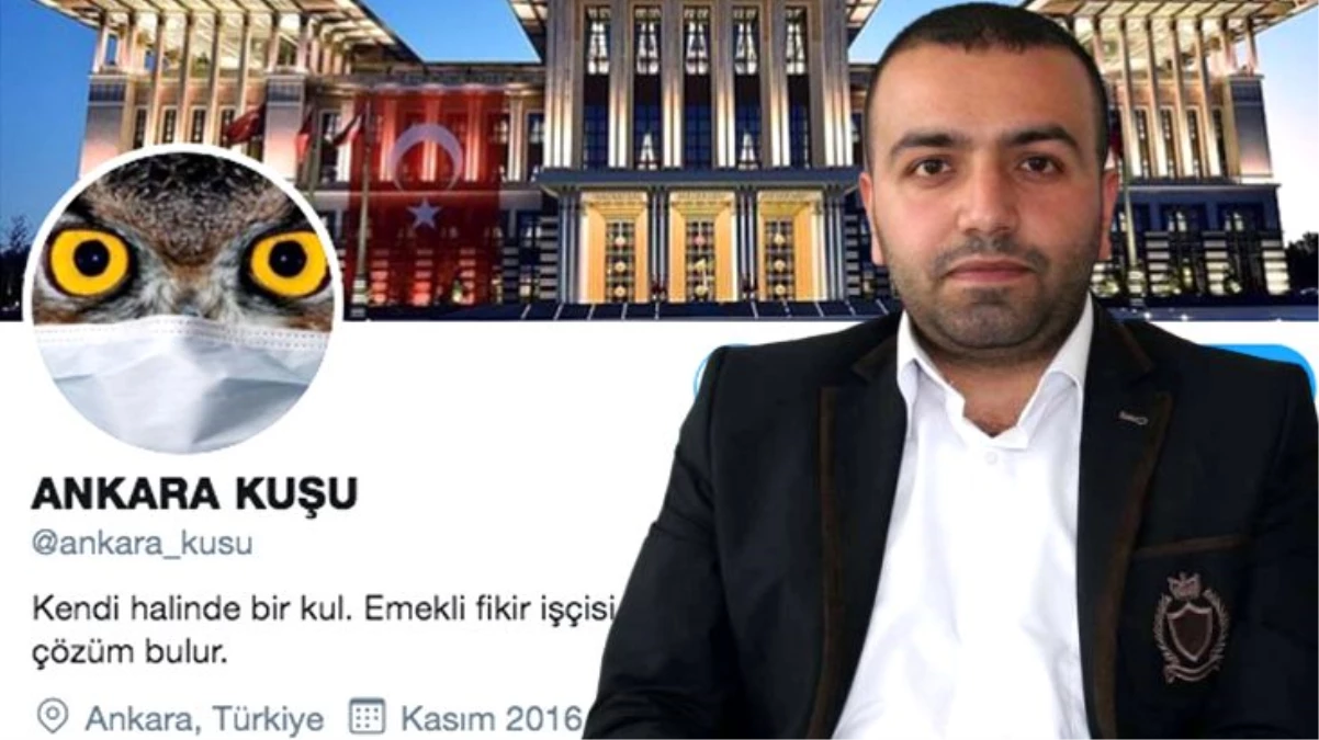 "Ankara Kuşu" isimli Twitter hesabının sahibi Oktay Yaşar tahliye edildi